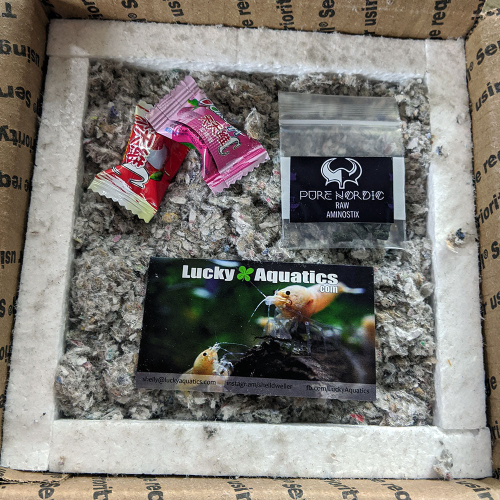 Is it safe to buy shrimp online? How to ship shrimp the right way.