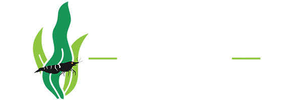 Lucky Aquatics