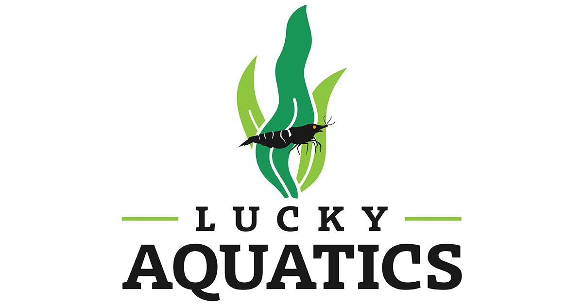 https://luckyaquatics.com/cdn/shop/files/LuckyAquatics-FullColor-PreviewLogo_1200x.png?v=1673315772